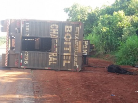 Cinco bovinos morrem após caminhão tombar na Rodovia Brigadeiro Eduardo Gomes, em Rancharia