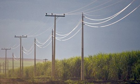 Energisa Sul-Sudeste reforça dicas de segurança durante colheita da cana-de-açúcar 