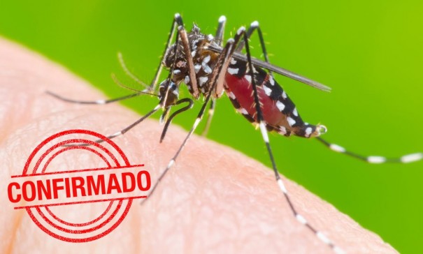 Tup j soma 1743 casos de dengue em 2019