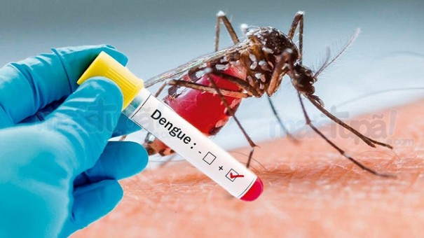 Dengue mata segundo tupense em menos de um ms