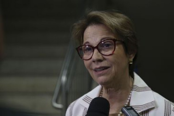 Ministra diz que liberao de agrotxicos no traz riscos