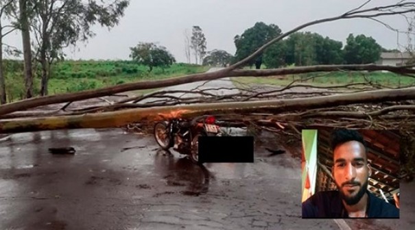 Motociclista de 21 anos morre aps bater em rvore cada em rodovia vicinal