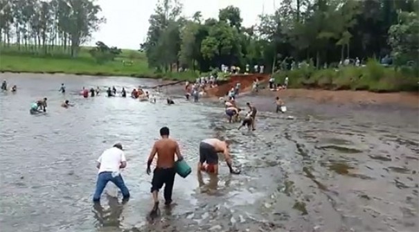 Represa se rompe e proprietrio autoriza populao a retirar peixes