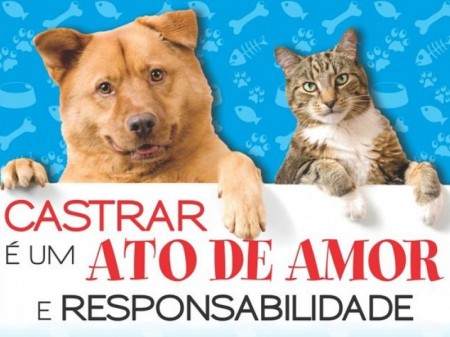 Secretaria de Saúde de Adamantina e Unifai realizam castração de cães e gatos