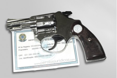 Ministros querem que decreto sobre armas inclua exigência de cofre