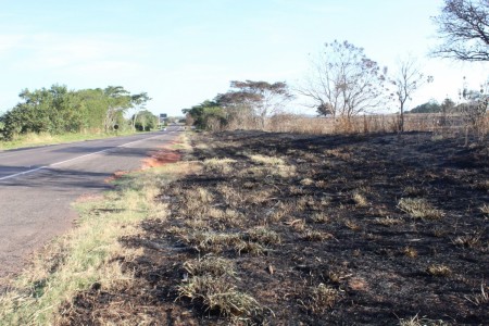 Incêndios atingem vegetações em área de loteamento e margem de rodovia na região