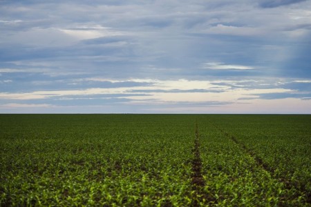 Anvisa aprova marco regulatório dos agrotóxicos