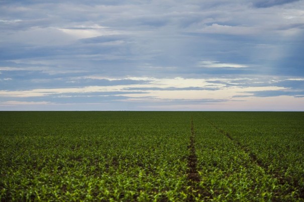 Anvisa aprova marco regulatrio dos agrotxicos