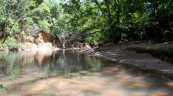 Sabesp far soltura de mil peixes adultos em crrego de Adamantina