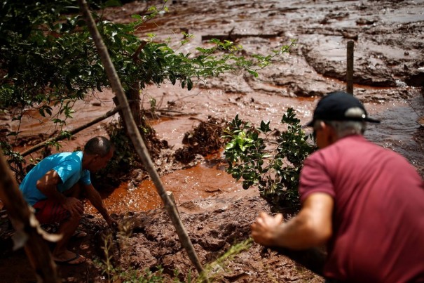 Vale concluiu 49 acordos individuais de indenizao em Brumadinho