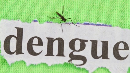 Dengue: Prefeitura de Adamantina decreta situação de emergência