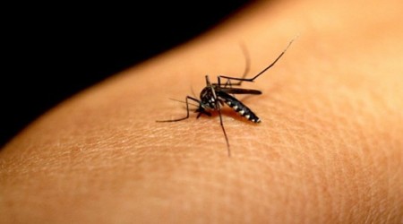 Tupã registra terceira morte neste ano por complicações da dengue