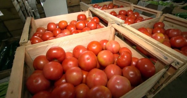 Pesquisa aponta aumento de 53,39% no preo do quilo do tomate, em Presidente Prudente