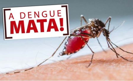 Tupã já passa de 100 casos de dengue em 2019