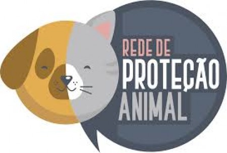 Ong de Proteção Animal Castracão realiza Ação Entre Amigos