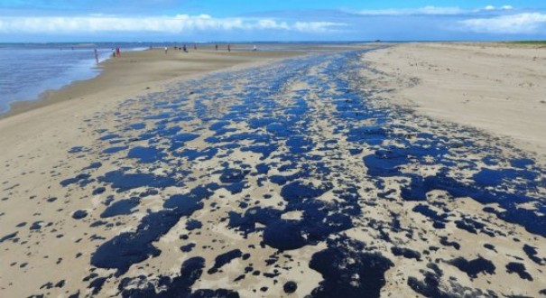 Mais de 525 toneladas de resduos foram retiradas de praias com leo