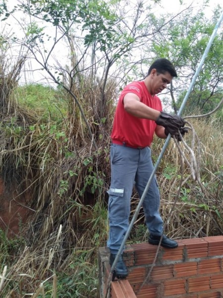 Brigadistas de Junqueirópolis resgatam cachorra de buraco