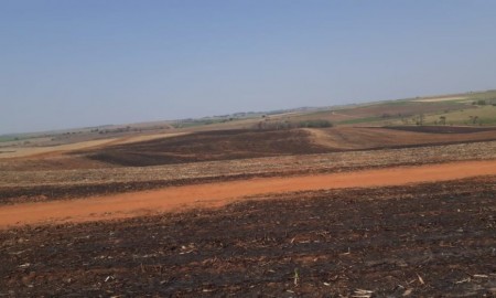 Usina é multada em mais de R$ 100 mil por fogo em cana de açúcar e área de preservação