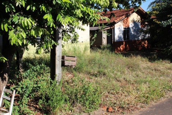 Enquanto Prefeitura aguarda posicionamento da CDHU, casas populares do Mrio Covas so tomadas por mato e lixo