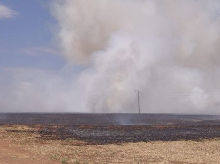 Incêndio destrói plantação de cana em Inúbia Paulista 