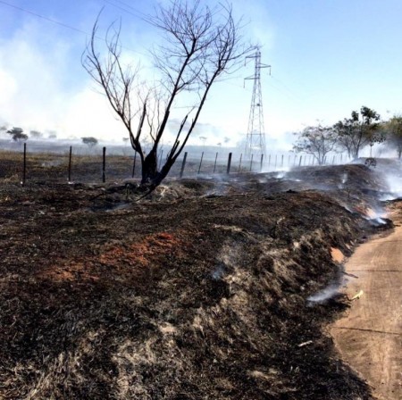 Incêndio às margens da rodovia devasta árvores e pastagens em Flórida Paulista