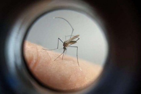 Dengue: 13 primeiros dias do ano já somam 25 casos da doença em Dracena