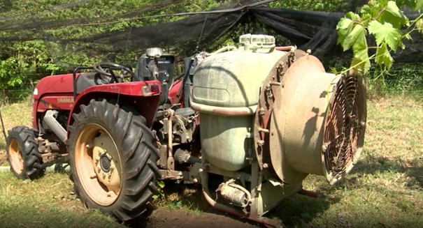 Agricultor fica gravemente ferido aps ser prensado por trator em plantao de uvas em Junqueirpolis