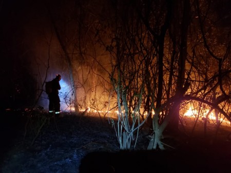 Após quase 24 horas, incêndio em mata nas proximidades da SP-294 em OC é contido 