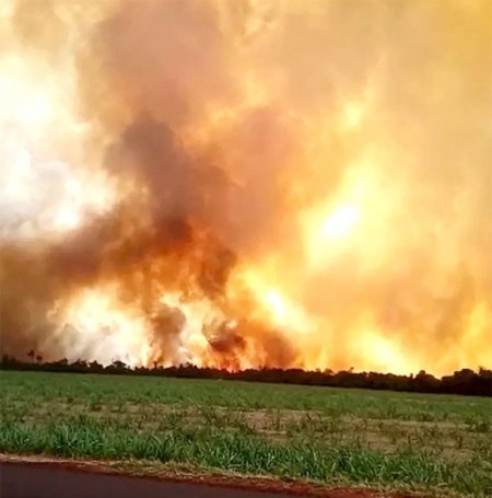 Incêndio atinge área de canavial em Quatá