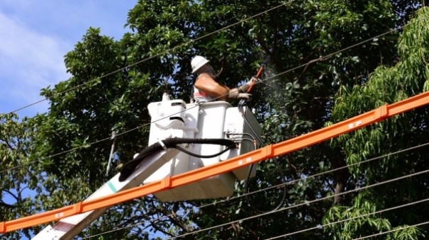 Com uso da tecnologia, Energisa mapeia rvores que oferecem riscos  rede eltrica