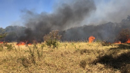 Incêndio em vegetação é registrado próximo ao antigo IBC, em Osvaldo Cruz