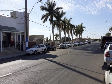 Depois de manifestação popular contrária a retirada das palmeiras imperiais do antigo Botinho, mudança do projeto mantém as árvores no terreno