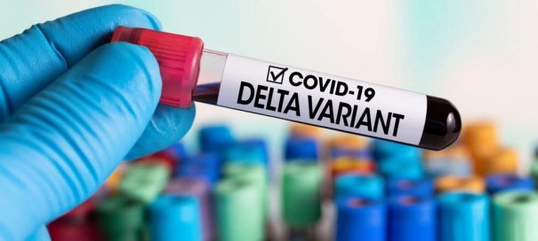 Governo de SP confirma que variante delta da Covid-19 circula no estado e avalia reduzir intervalo da 2 dose de vacinas