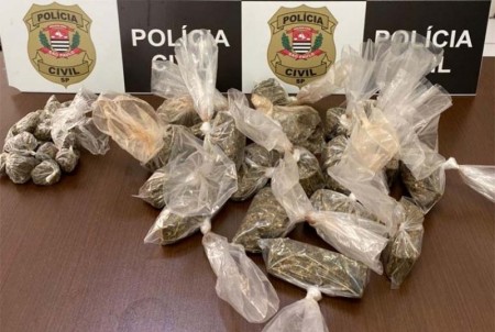 Polícia Civil apreende cerca de meio quilo de maconha enterrado em Tupã