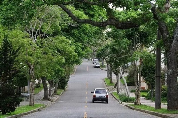 Adamantina sedia encontro que trata sobre a importncia da arborizao urbana