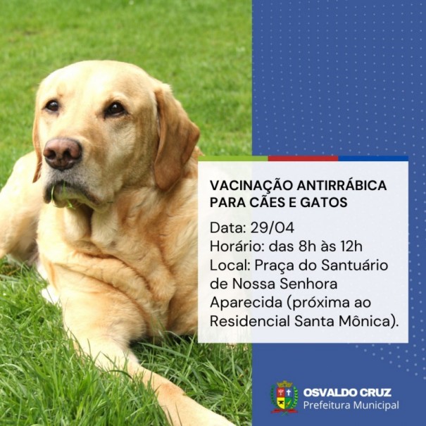 Prefeitura de OC realiza nova etapa de vacinao contra a Raiva animal