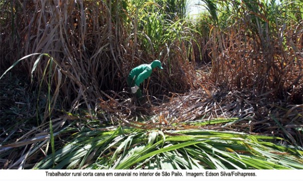 Cidades onde avies lanam agrotxicos tm maior incidncia de cncer; regio de Presidente Prudente  uma delas