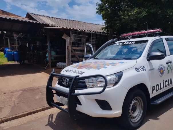 Madeireira é multada em mais de R$ 30 mil por irregularidades com documento de origem florestal, em Mirante do Paranapanema