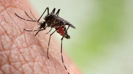 Parapuã confirma segunda morte por dengue em 2023