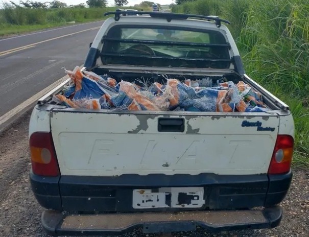 Caminho carregado de milho tomba na pista e motoristas acabam presos por furto de carga em Mirante do Paranapanema