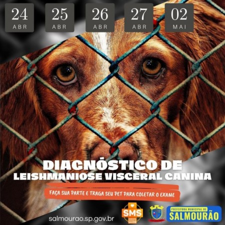 Prefeitura de Salmourão promove a campanha de combate a leishmaniose canina 