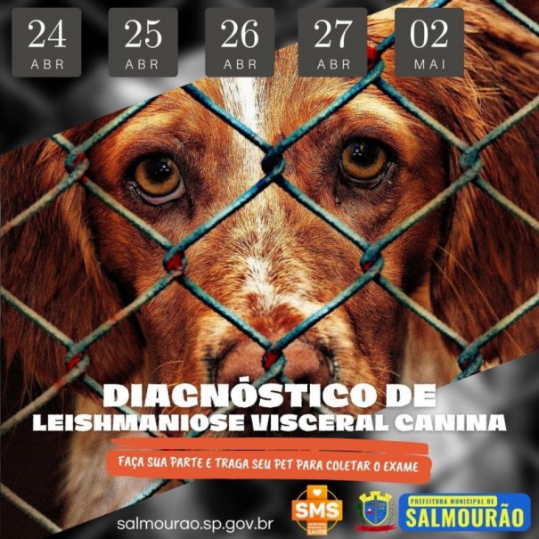 Prefeitura de Salmouro promove a campanha de combate a leishmaniose canina 