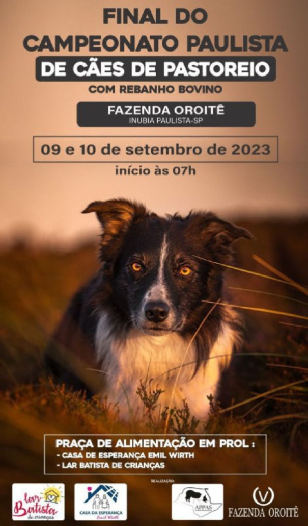 Inúbia Paulista sedia final do campeonato Paulista de Cães de Pastoreio