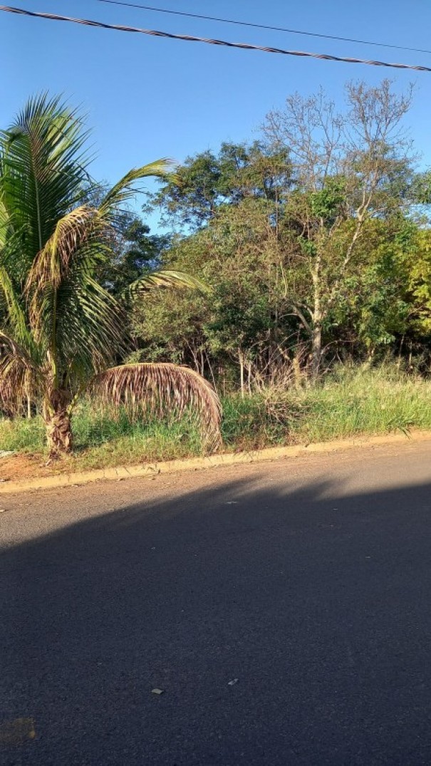 Voc Reprter: Moradores do bairro Park das Figueiras reclamam da falta de manuteno da rea verde local