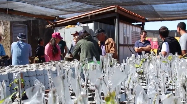 Agroplic leva produtores rurais de Osvaldo Cruz para visita tcnica a Bauru