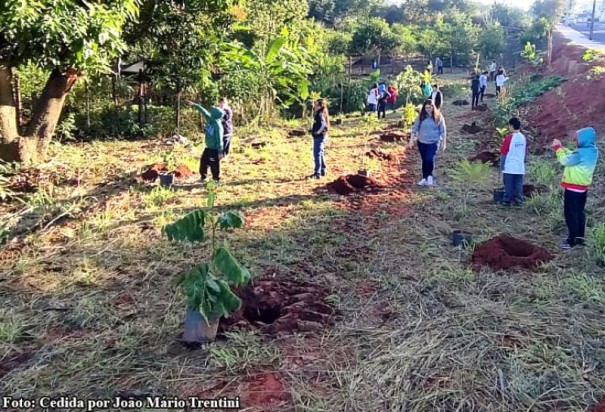 Polcia Ambiental orienta alunos durante plantio de mudas nativas em Bastos