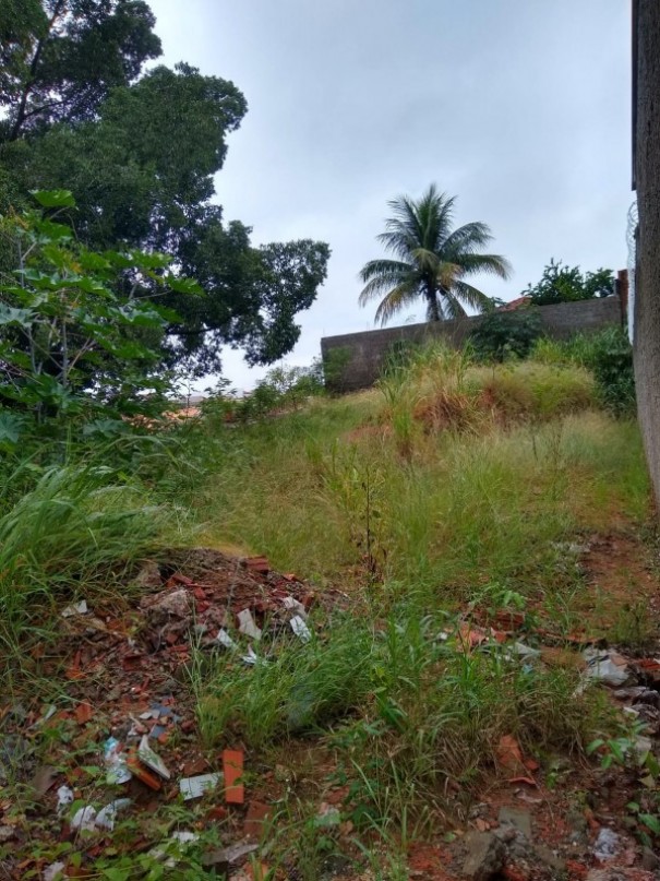 Voc Reprter: Moradora do Vale do Sol reclama de terreno com mato alto e entulho