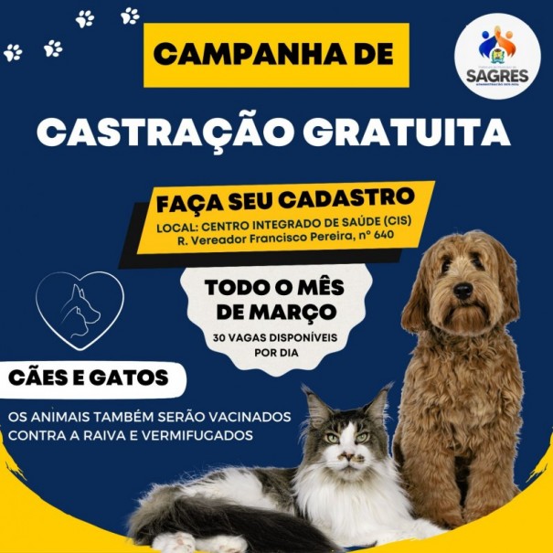 Sagres desenvolve trabalho de castrao gratuita de ces e gatos 