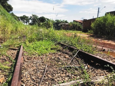 Flórida: Em razão da dengue, Prefeitura notifica empresa Rumo para limpeza da ferrovia