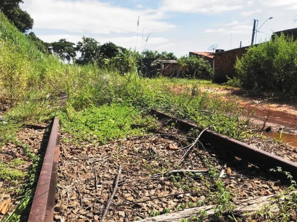 Flrida: Em razo da dengue, Prefeitura notifica empresa Rumo para limpeza da ferrovia